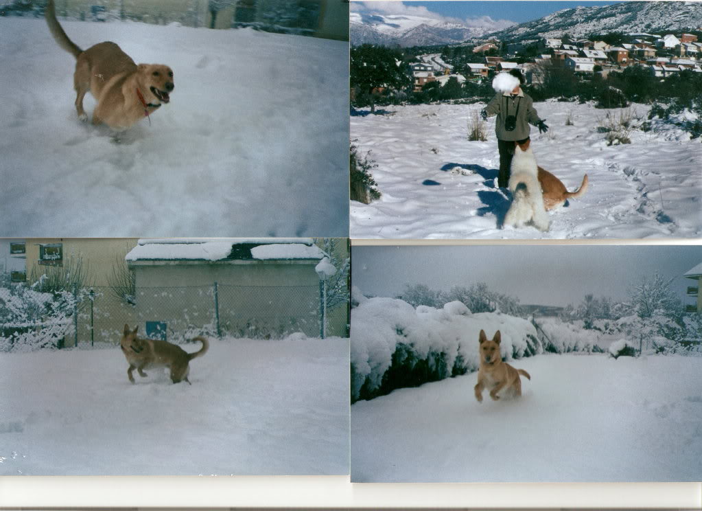 ScannedImage-2.jpg
