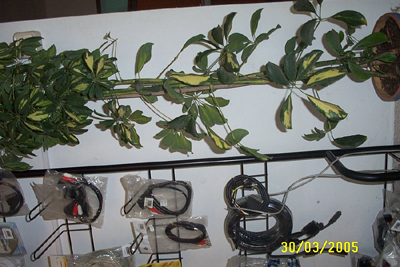 sche.%20004.jpg