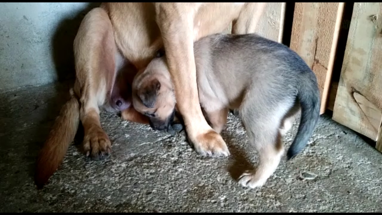 Screenshot-20210417-165620-Video-Player.jpg