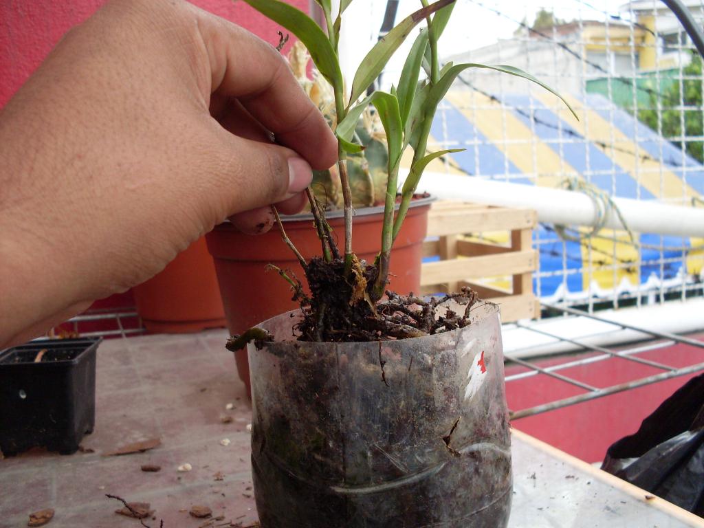 SDC10172_zpsc9bf4f8c.jpg