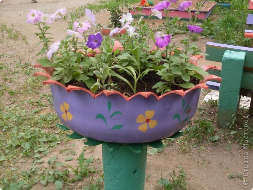 SDC10846.JPG