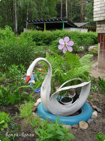 sdc15459.jpg