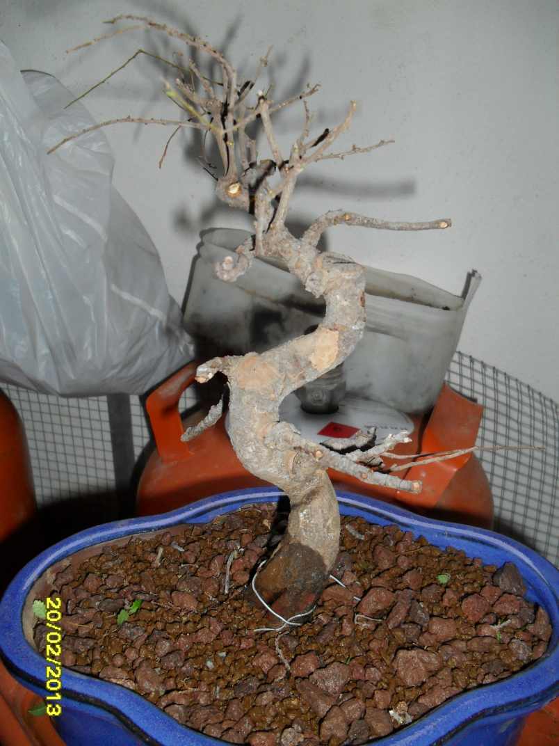 SDC17098.jpg