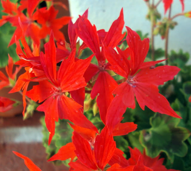 se3g5l.jpg