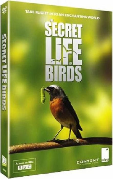 Secret-Life-of-Birds-Cover.jpg