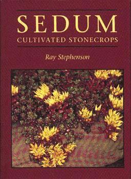 sedum.jpg