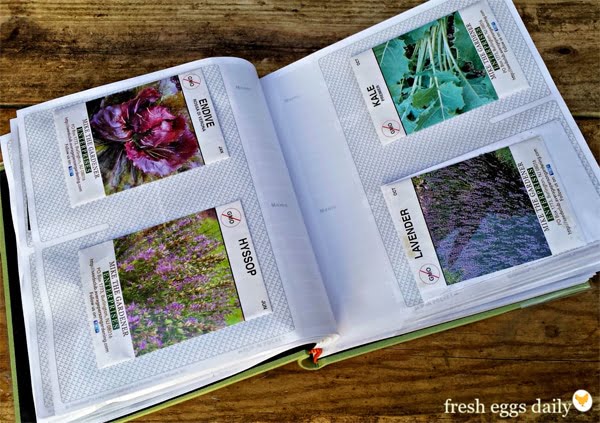 Seed-Organization.jpg