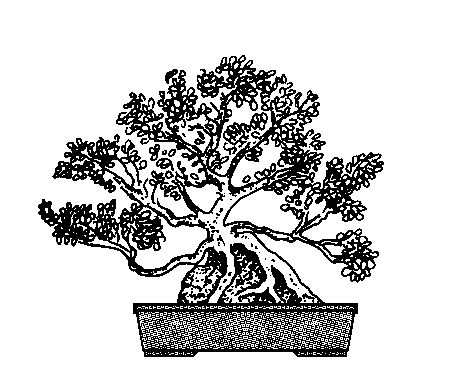 seikijoju.gif