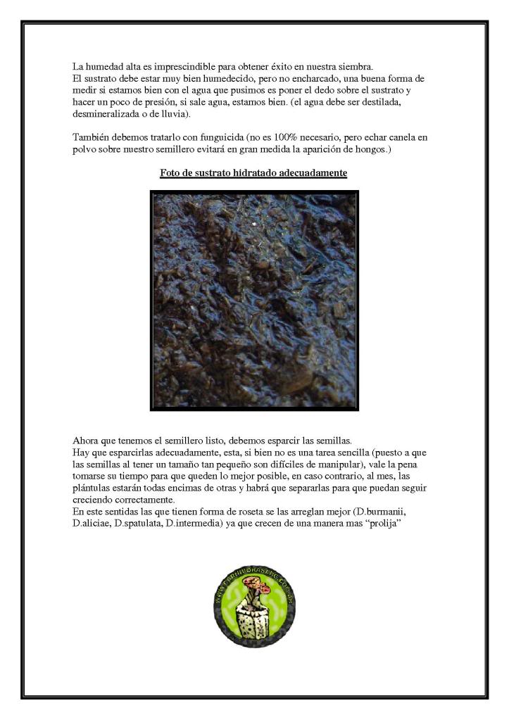 Semillero2.jpg