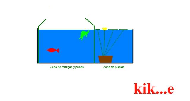separaciontortugas-peces-plantas.jpg