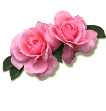 separador-rosas.gif