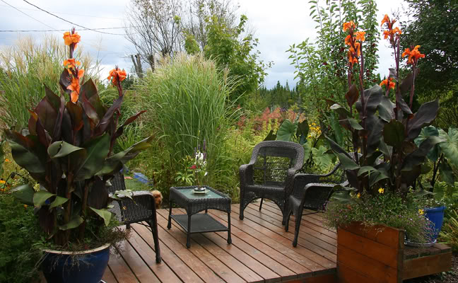 Septembre151200-2010027.jpg