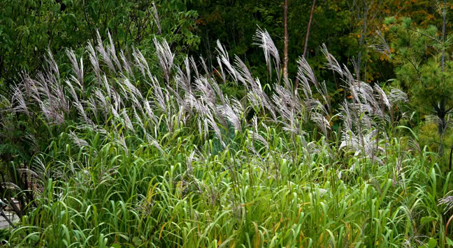 Septembre151200-2010030.jpg