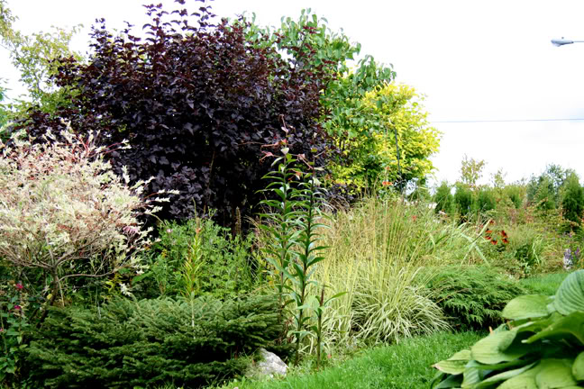 Septembre151200-2010032.jpg