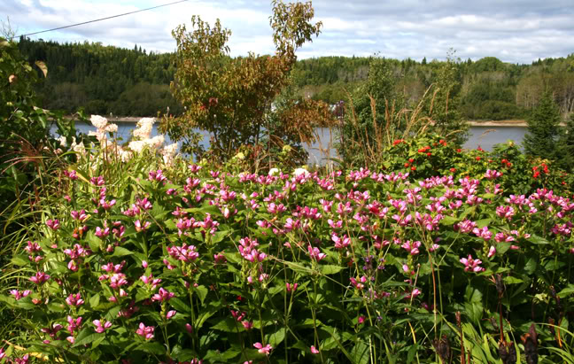 Septembre151200-2010044.jpg