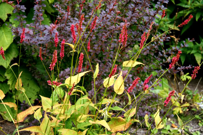 Septembre21800-2010030.jpg