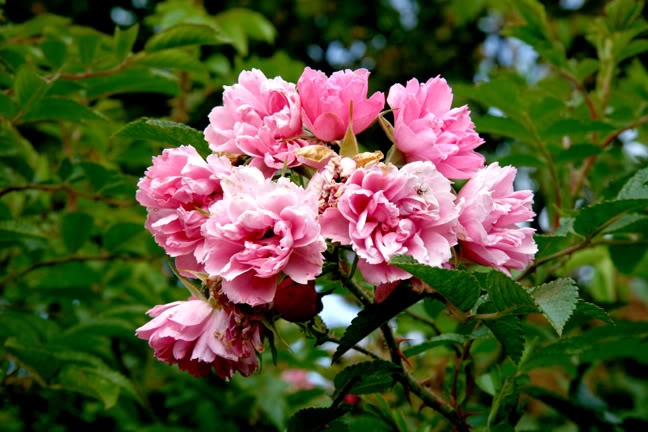 Septembre21800-2010032.jpg