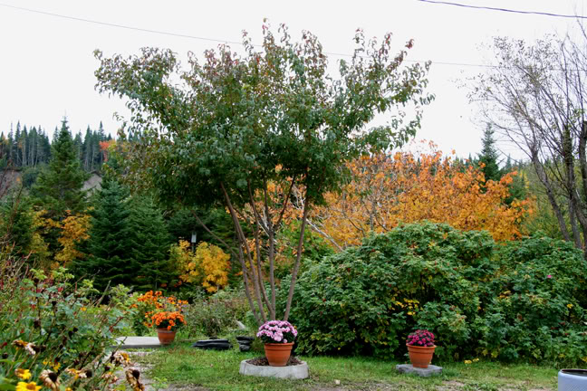 Septembre301200-2010003.jpg