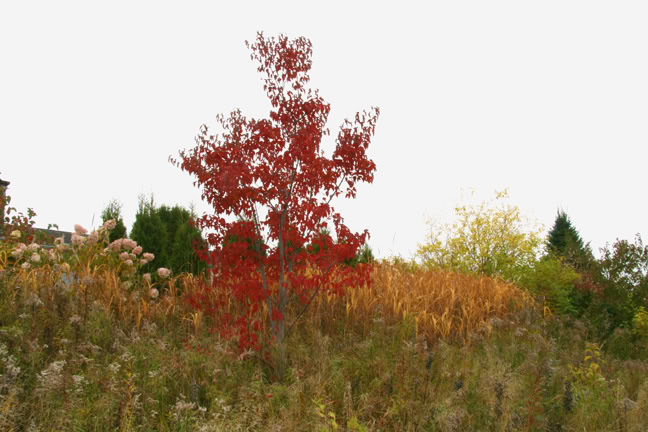 Septembre301200-2010005.jpg