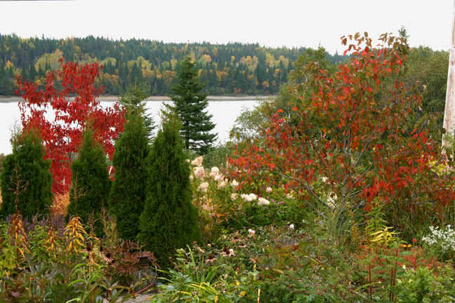Septembre301200-2010006.jpg