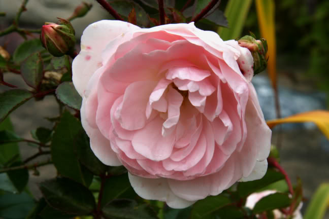 Septembre301200-2010007.jpg