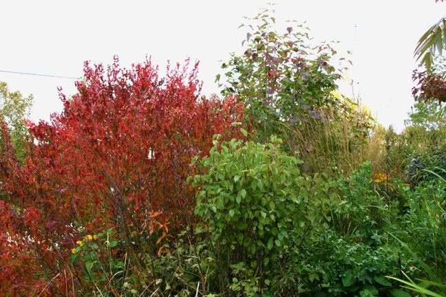 Septembre301200-2010008.jpg