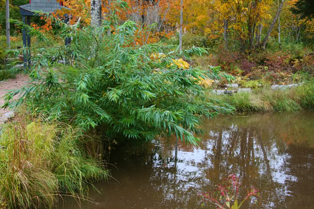 Septembre301200-2010023.jpg