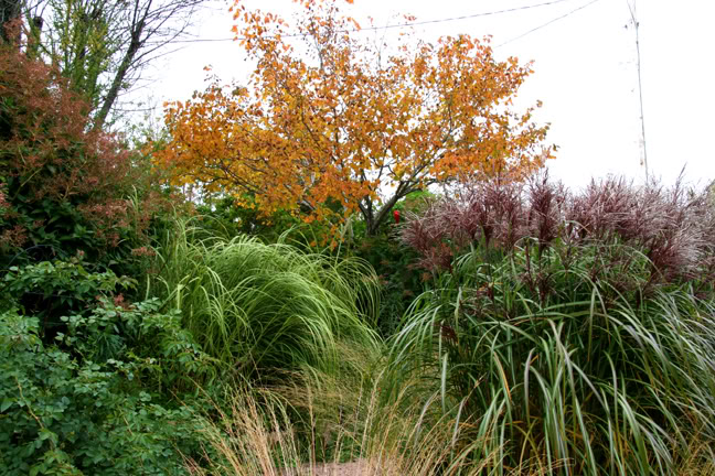 Septembre301200-2010028.jpg