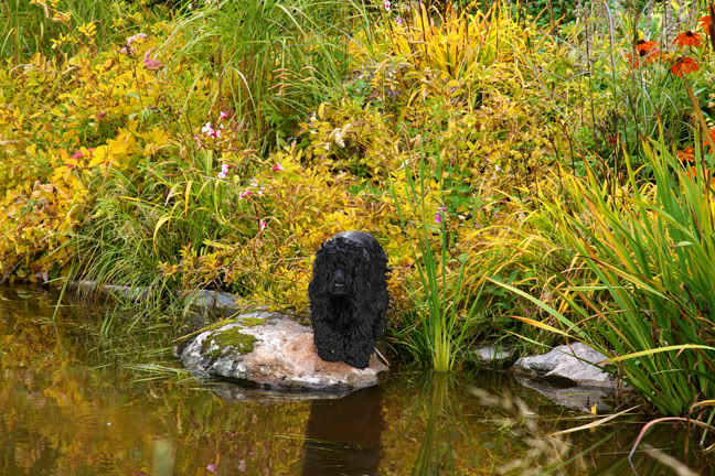 Septembre301200-2010036.jpg