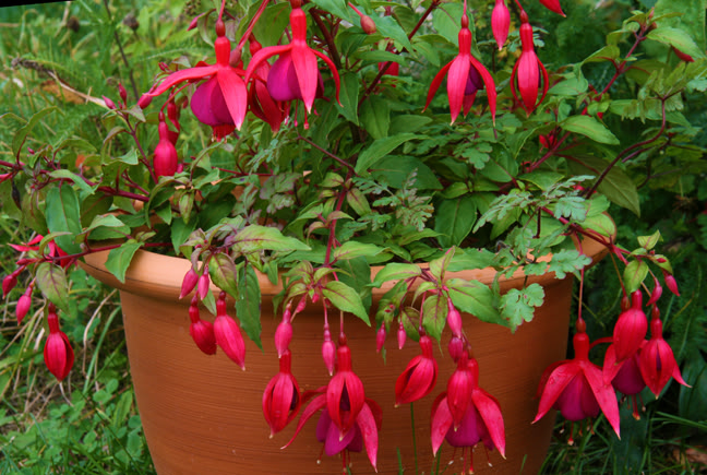 Septembre301200-2010038.jpg