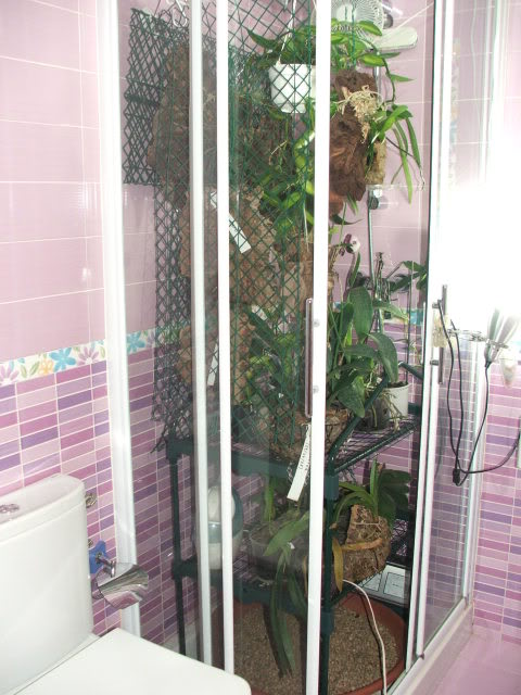 Serrabagno024.jpg
