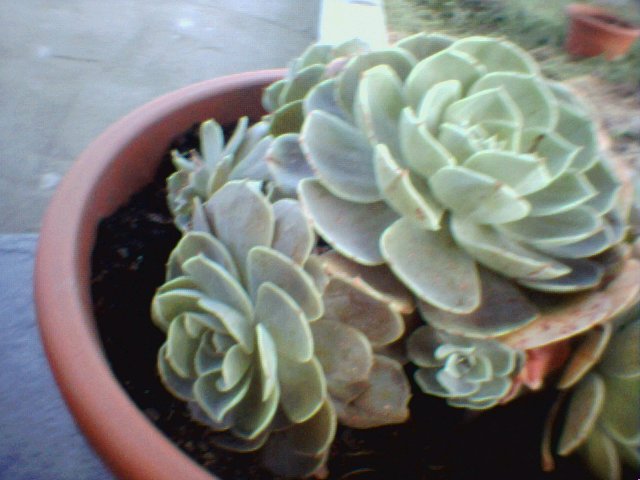 Set47_17.jpg