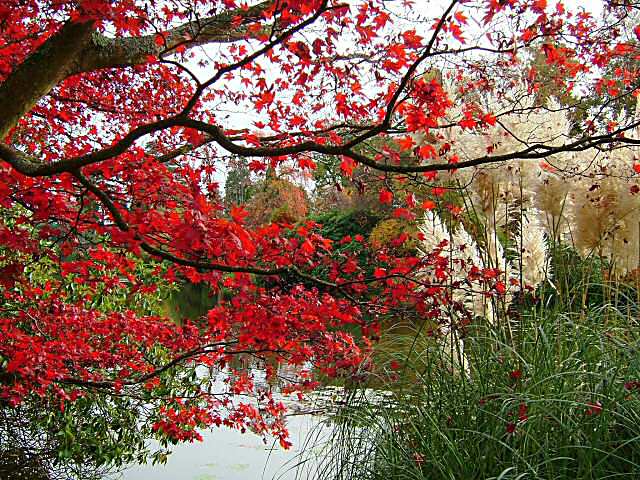 sheffieldpark_autumn2004_01.jpg