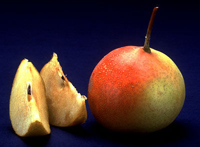 Shipova_fruit.jpg