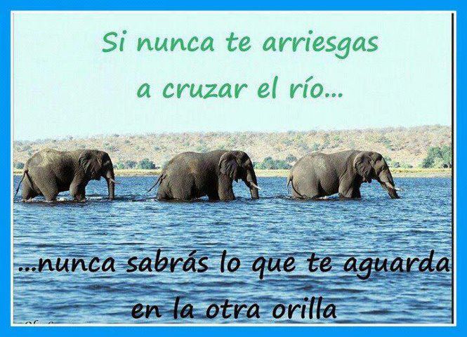 si-nunca-te-arriesgas-a-cruzar-el-rio-nunca-sabras-lo-que-te-aguarda-en-la-otra-orilla.jpg