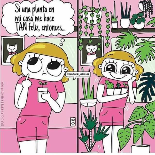 si-una-planta-en-mi-casa-me-hace-tan-feliz-enonges-7-cnozomi-oficial-vvdrA.jpg