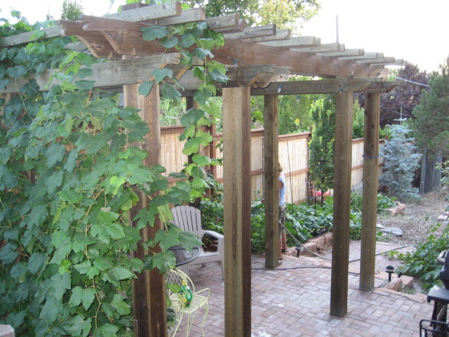 sidepatio_pergola.jpg