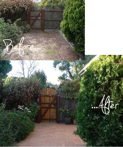 sideyard1.jpg