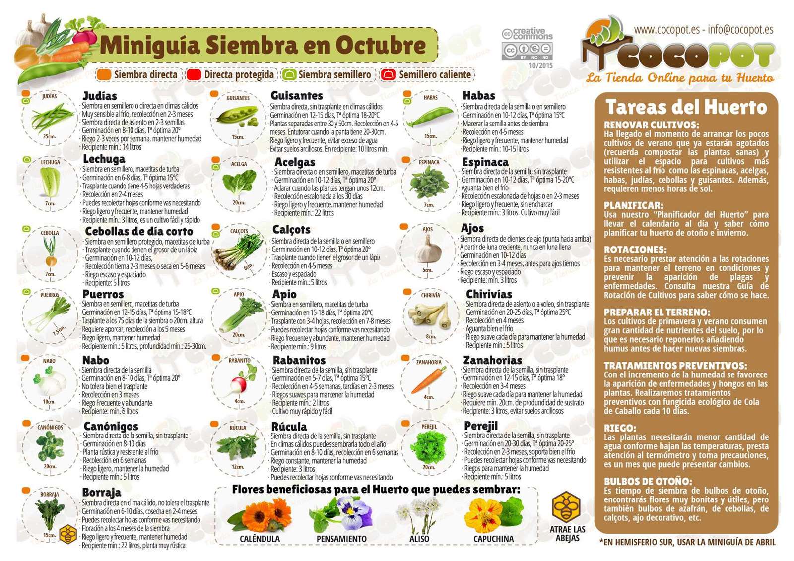 siembra-en-octubre.jpg