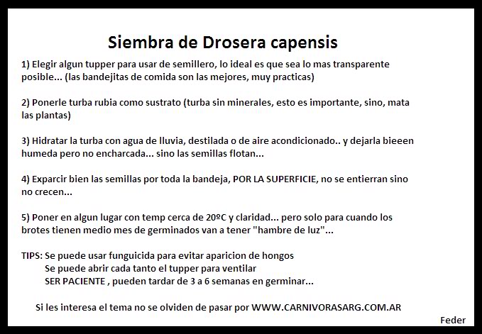 siembra.jpg