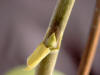 SIMG1091_small.jpg