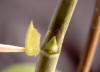SIMG1096_small.jpg
