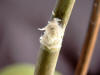 SIMG1102_small.jpg