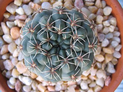 Sin%20identificar-01%20arr-02.JPG