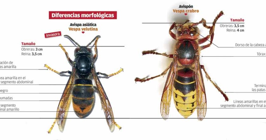 Sin%2Bt%25C3%25ADtulo-1.jpg