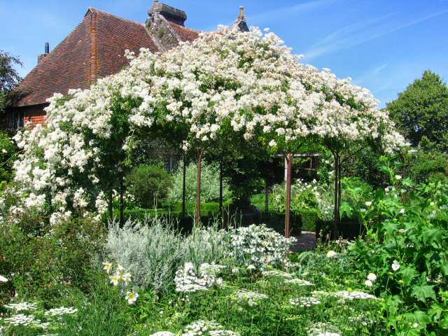 sissinghurst2006_white_Garden.jpg