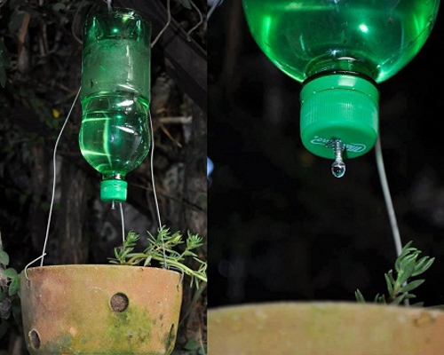 sistema-de-riego-casero-botella-orificio-tornillo-goteo.jpg