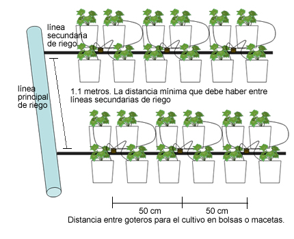 sistema_bolsas.jpg