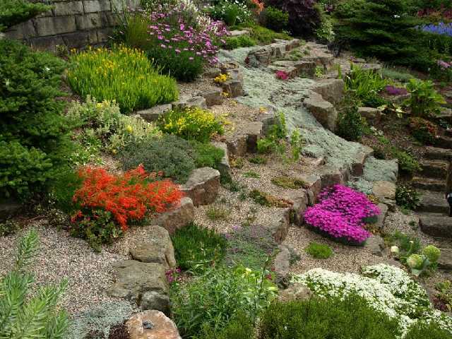 sizedRockery%20in%20June4370.JPG
