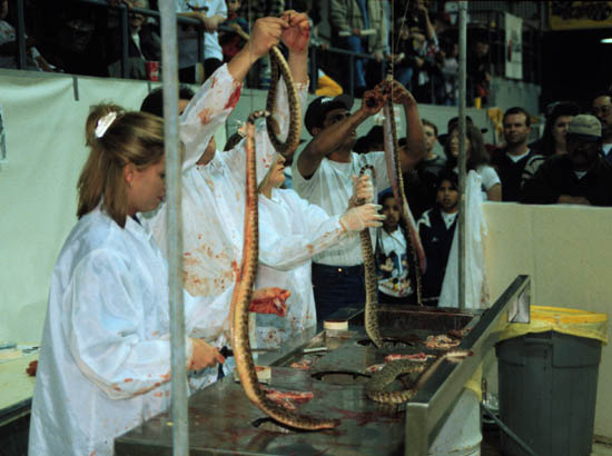 skinning.jpg
